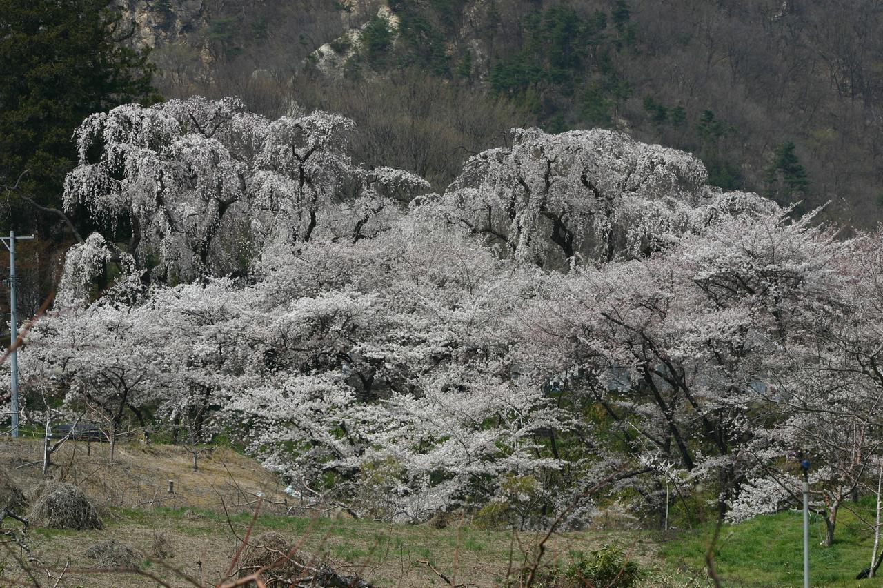 Shosenkaku Hotel Nagano Kültér fotó
